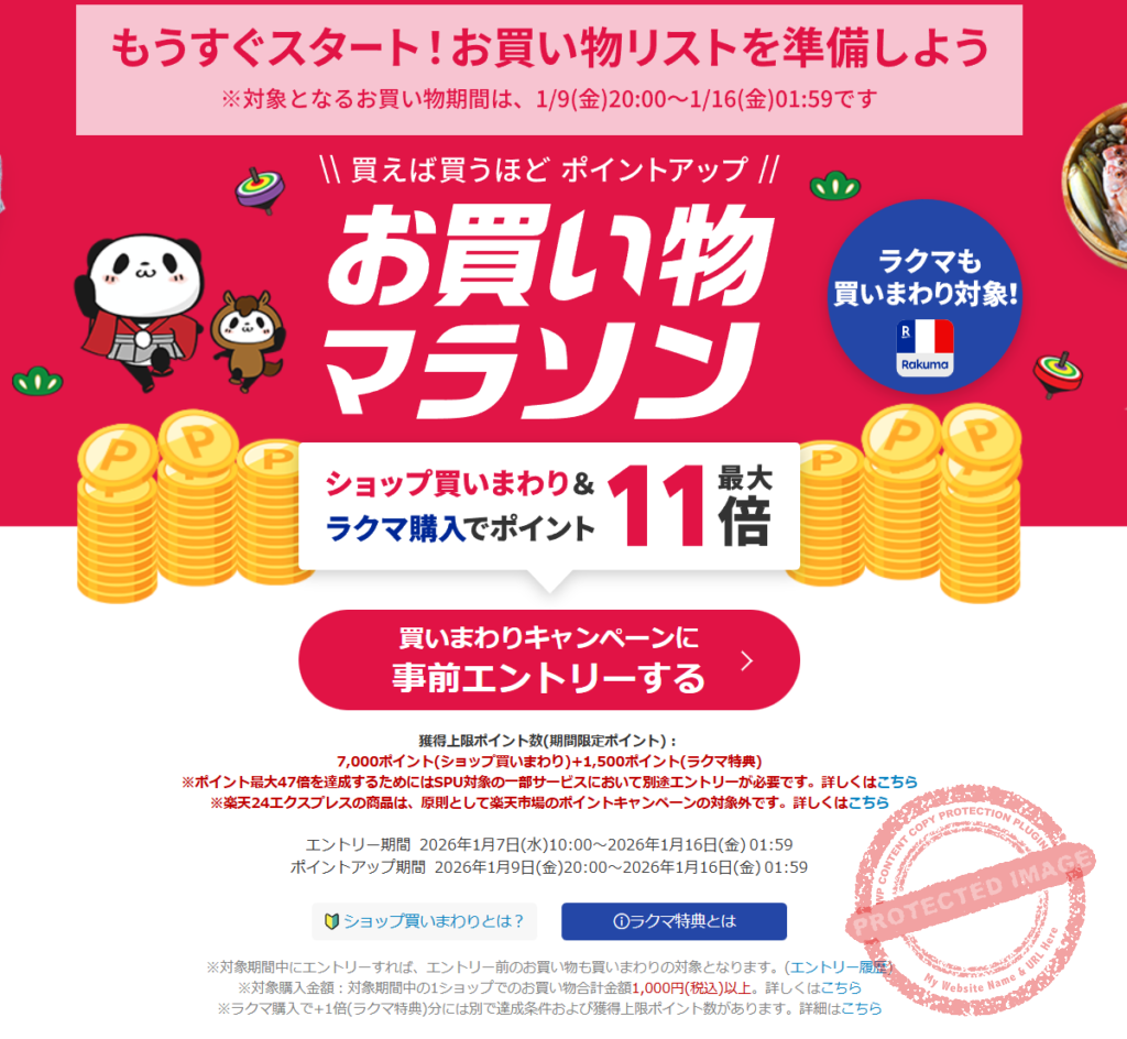 rakuten marathon 260108