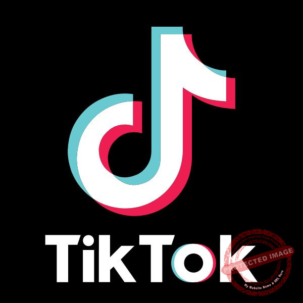 tiktok icon 1