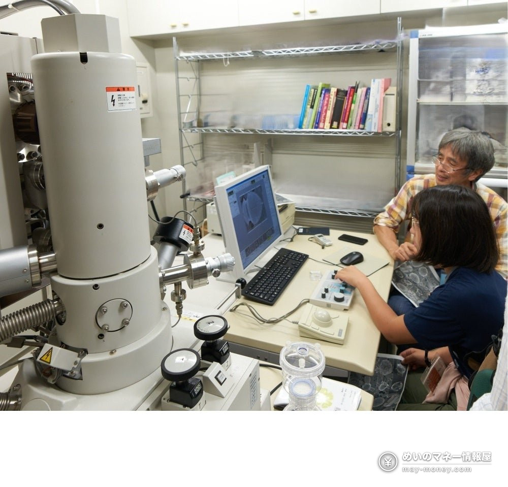 NIES Open House 2026 in Tsukuba: Free Science Day on Oct 25 3 Two researchers operating an electron microscope in a lab