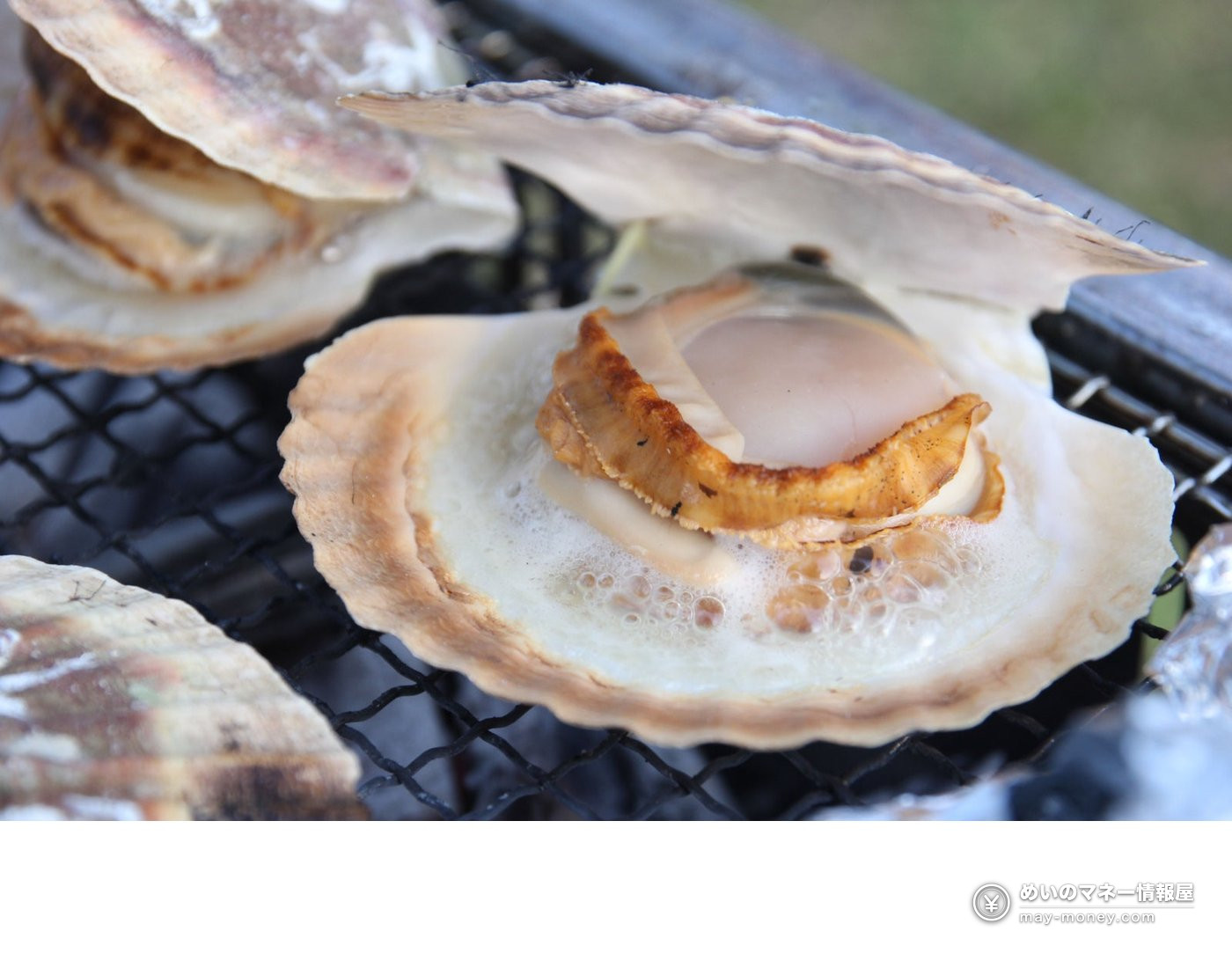 青森美食节免费入场|日比谷公园9月18-20日・扇贝鲔鱼煮干拉面+肉祭同场 8 网架上烤制的扇贝