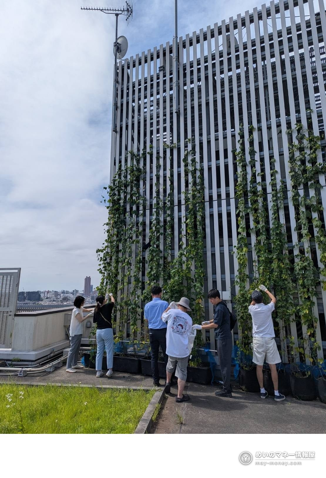 Shimokita Craft Beer Fest Fall: Free Entry, 12 Breweries, Oct 10–12 5 People tending hop vines on a rooftop louvered wall
