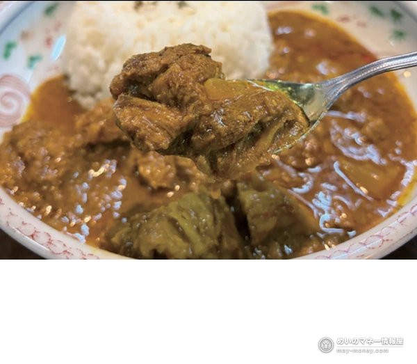 Tokyo Curry Expo at Okubo Park: 48 Shops, ¥600 Roux and ¥400 Rice 7 A spoon lifting a chunk of meat from brown curry, served with white rice
