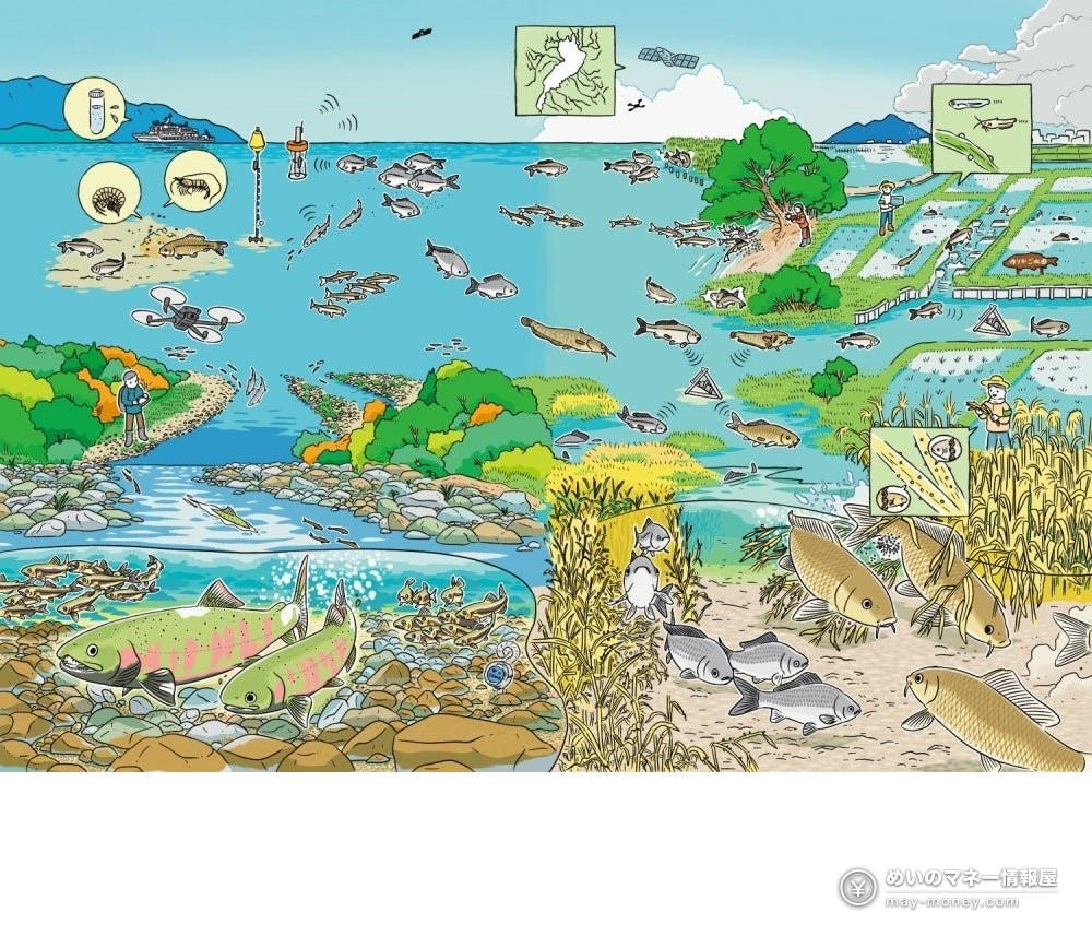 NIES Open House 2026 in Tsukuba: Free Science Day on Oct 25 6 Illustrated diagram of river and sea creatures