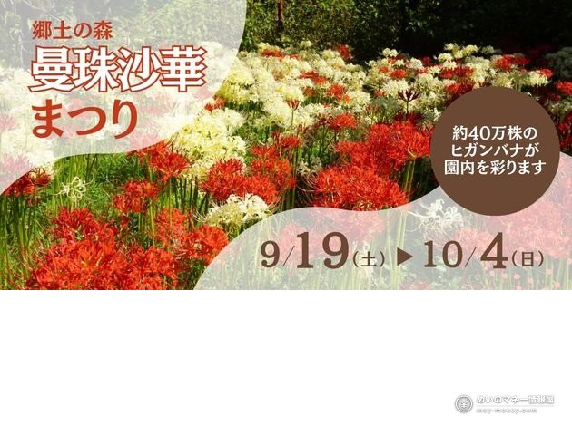 府中曼珠沙華祭|约40万株彼岸花,9月19日~10月4日开园赏花指南 1 府中市郷土の森博物館「郷土の森 曼珠沙華まつり」的红白彼岸花海报