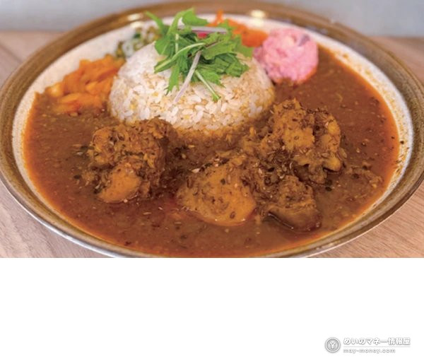 Tokyo Curry Expo at Okubo Park: 48 Shops, ¥600 Roux and ¥400 Rice 3 Rice topped with greens, served with meat curry and side dishes