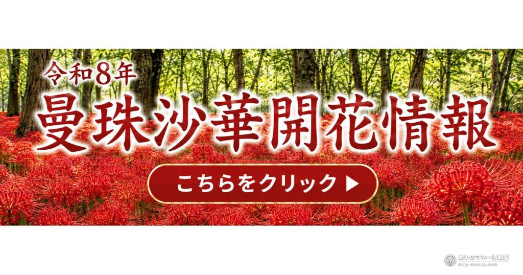 Kinchakuda Red Spider Lily Festival: 5 Million Blooms a Train Ride From Tokyo 4 巾着田曼珠沙華まつり|500万本の見頃・入場料と無料シャトルバス