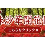 イベントカレンダー 13 eyecatch event 263119a99060