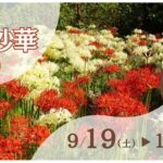 eyecatch event c87c996f2550