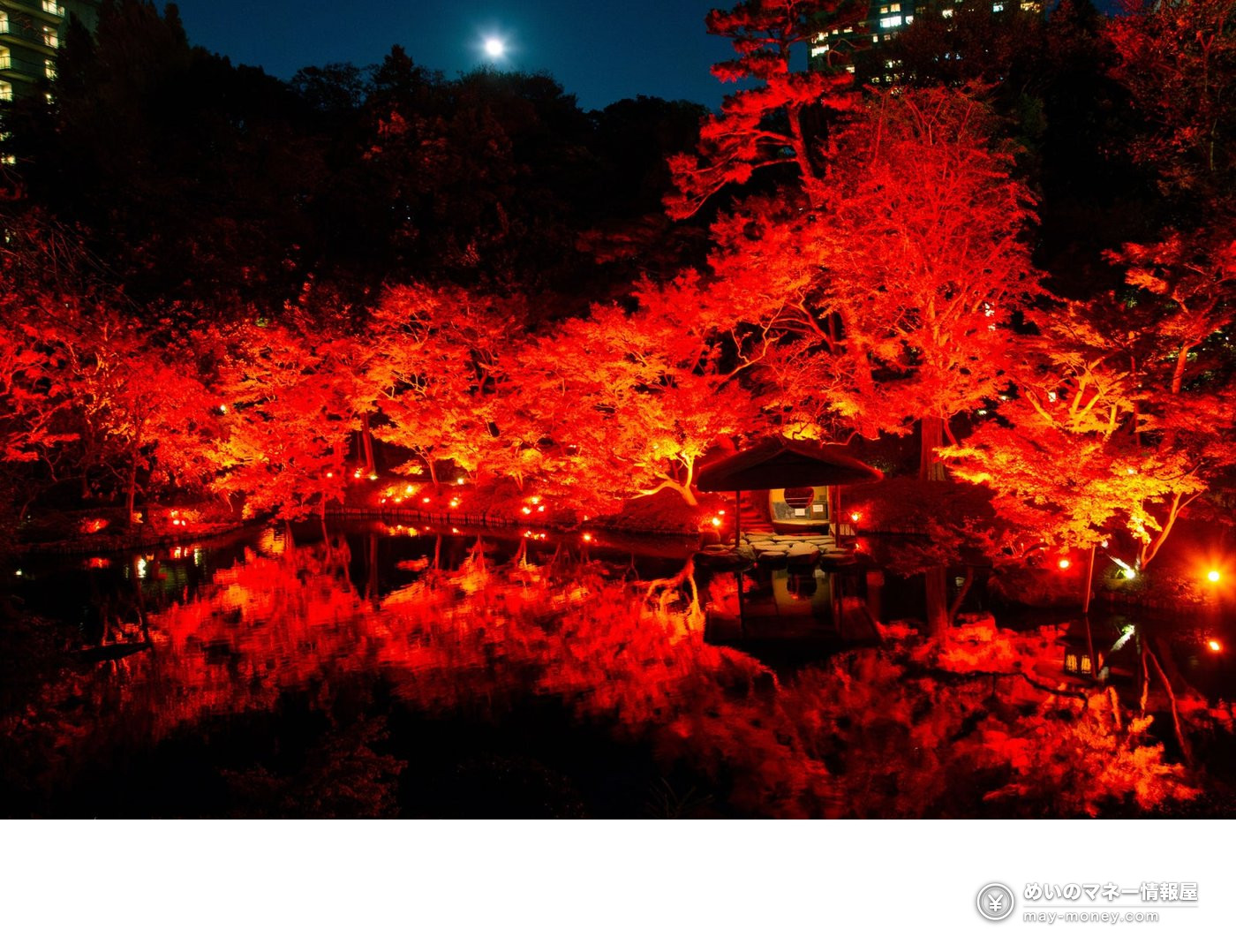 八芳园红叶点灯「TOKYO RED GARDEN 2026」攻略|11/27–12/6庭园免费入场・限定晚餐8,800日元 1 八芳园夜间日本庭园中被红色灯光照亮的红叶、池塘和凉亭