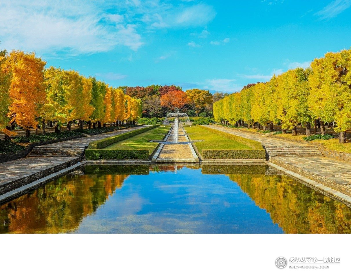 Showa Kinen Park Autumn Leaves Festival & Night Walk: Dates, Fees, Peak Times 3 Yellow and orange trees lining a fountain pool, reflected in the water