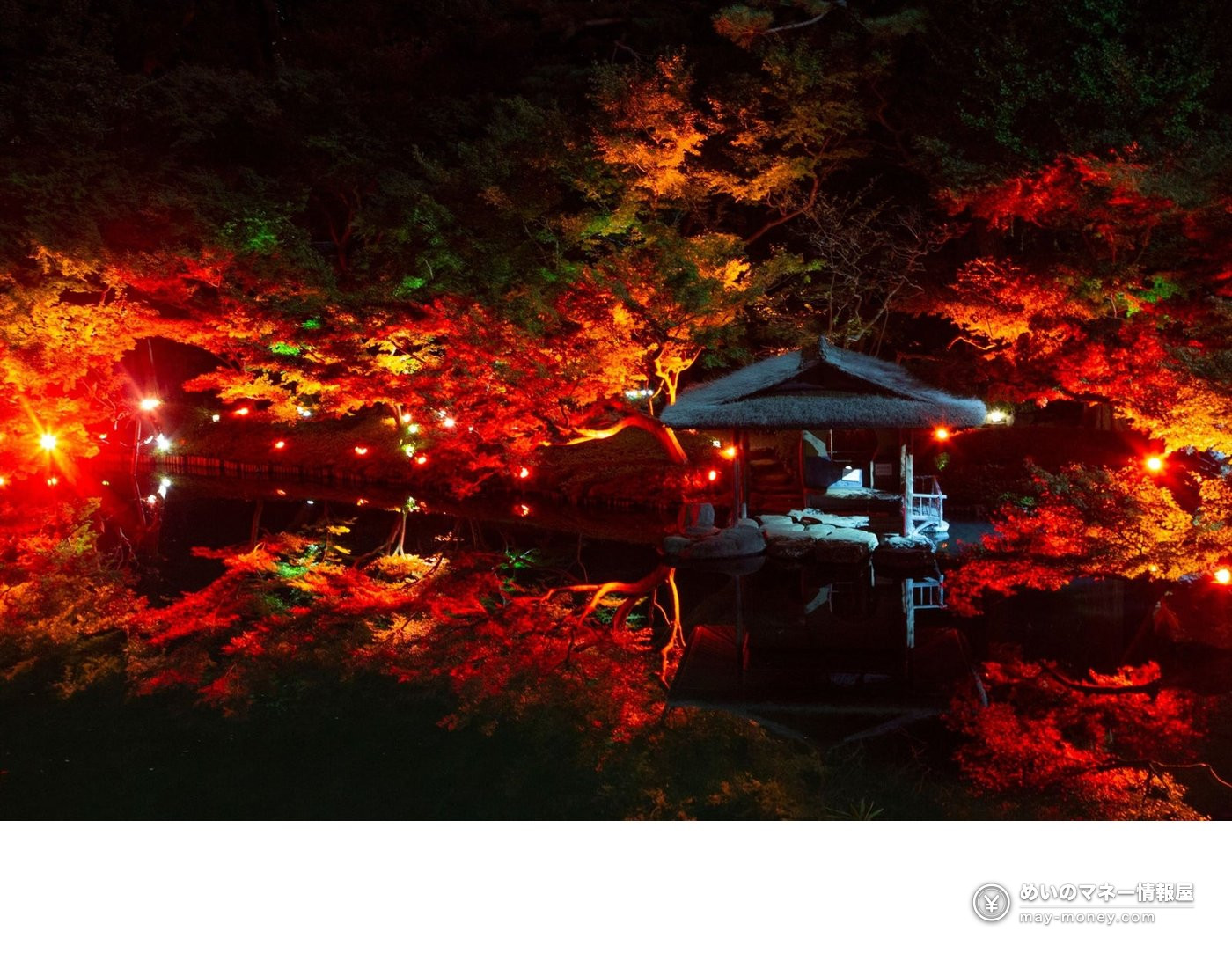 八芳园红叶点灯「TOKYO RED GARDEN 2026」攻略|11/27–12/6庭园免费入场・限定晚餐8,800日元 3 夜晚池面倒映着红叶和茅草屋顶凉亭的点灯景色