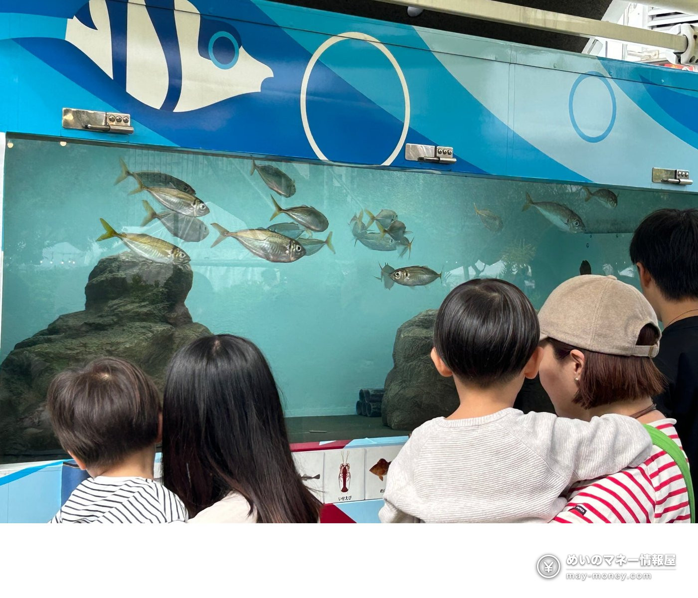 Taste of Tokyo 2026: Tokyo-Grown Food Festival in Marunouchi, Hibiya and Toyosu (Oct 23–25) 8 A parent and child watching fish swim in a tank