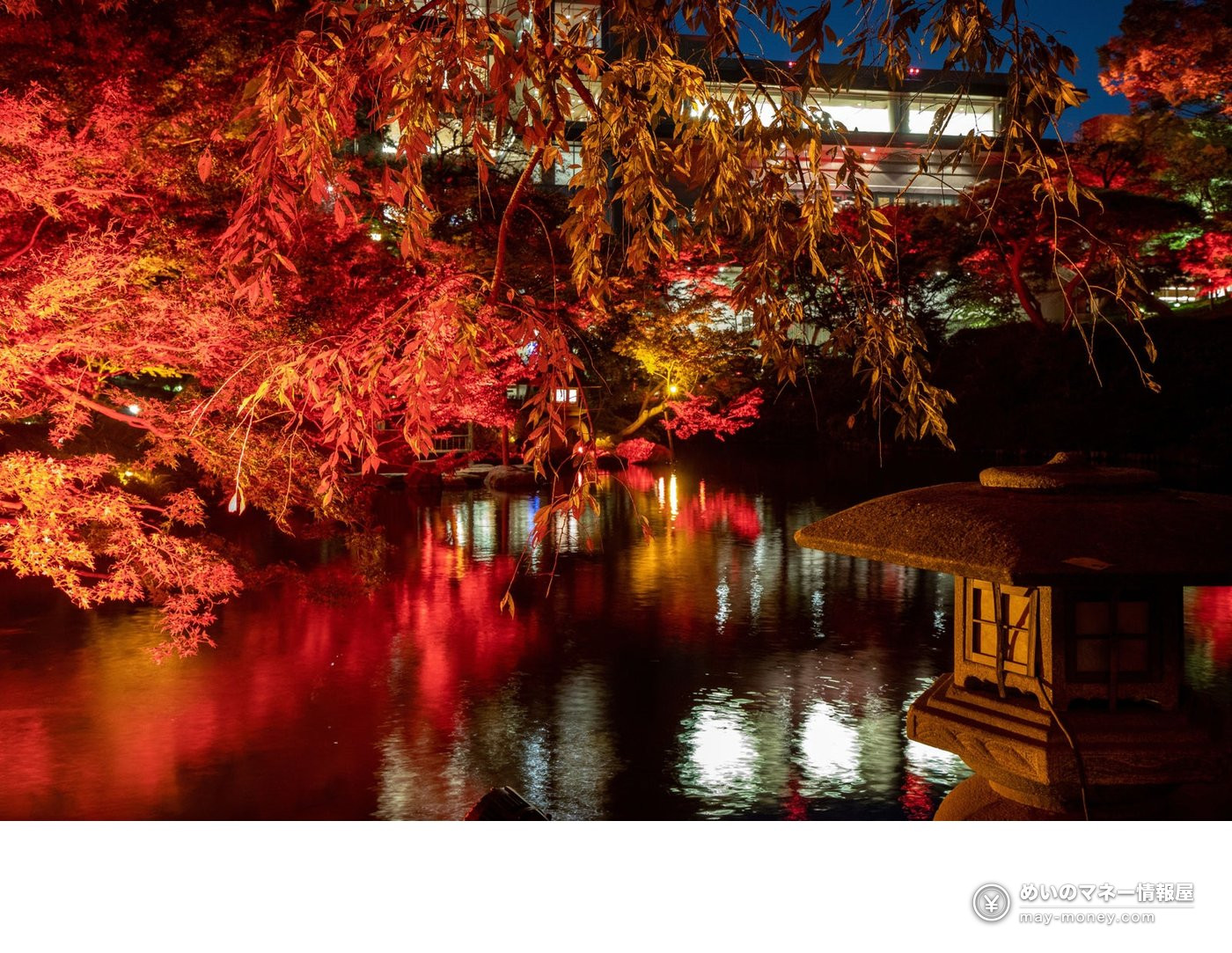 八芳园红叶点灯「TOKYO RED GARDEN 2026」攻略|11/27–12/6庭园免费入场・限定晚餐8,800日元 4 点灯中的红叶、池塘和石灯笼,后方可见建筑