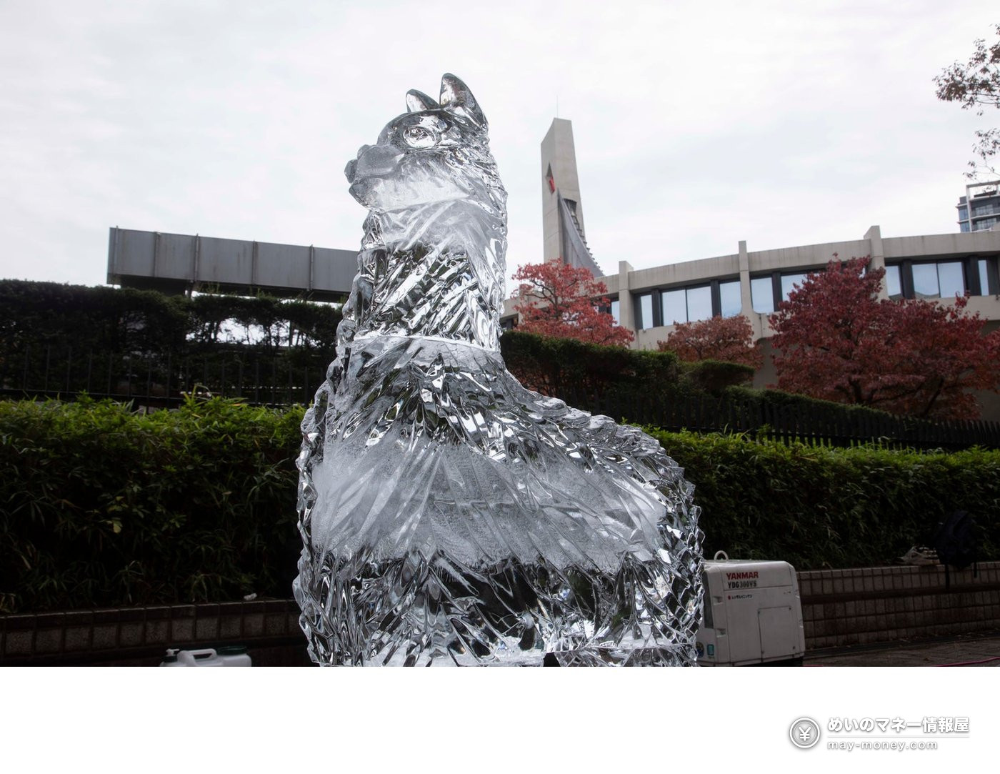 Furusato Shibuya Festival at Yoyogi Park: Free Entry, Akita Dogs, Ponies and 130 Tents (Nov 7–8) 8 An ice sculpture shaped like a dog