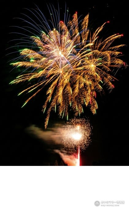夜空に大きく開く金色の打ち上げ花火