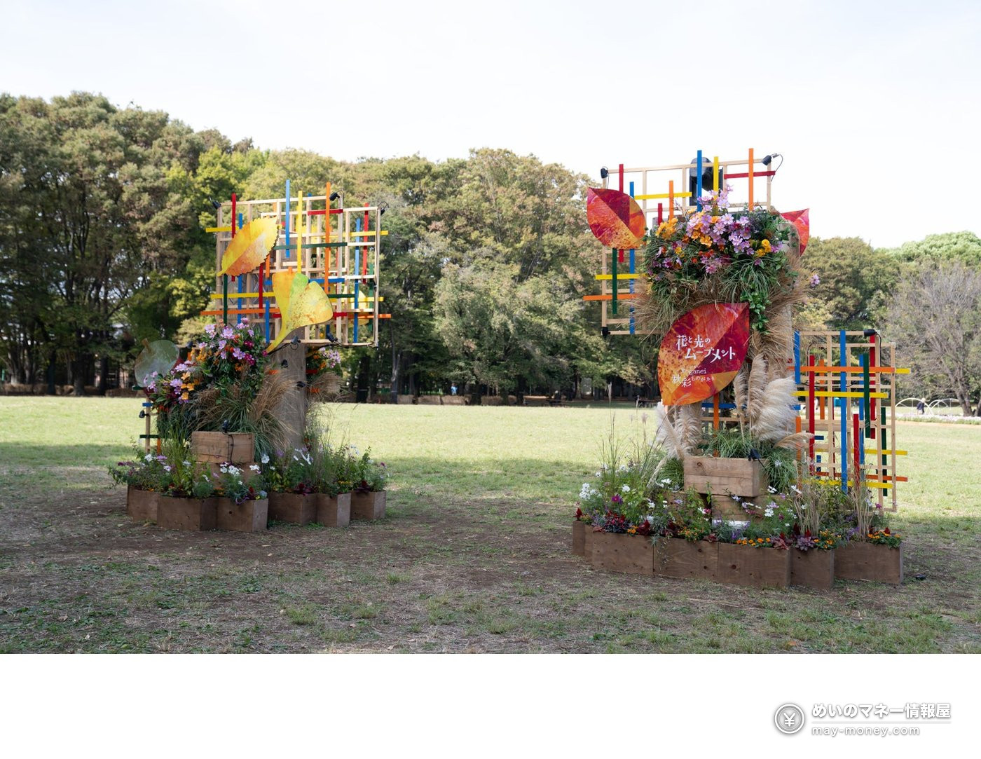Two flower and wooden frame displays standing on a lawn in daylight