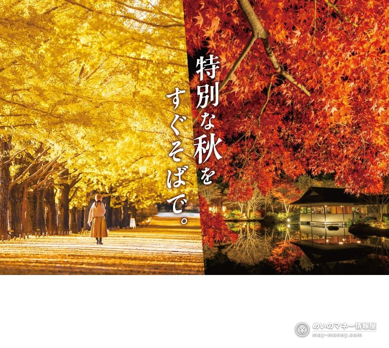 Showa Kinen Park Autumn Leaves Festival & Night Walk: Dates, Fees, Peak Times 1 Yellow ginkgo avenue, red maples and a Japanese-style building by a pond at night at Showa Kinen Park