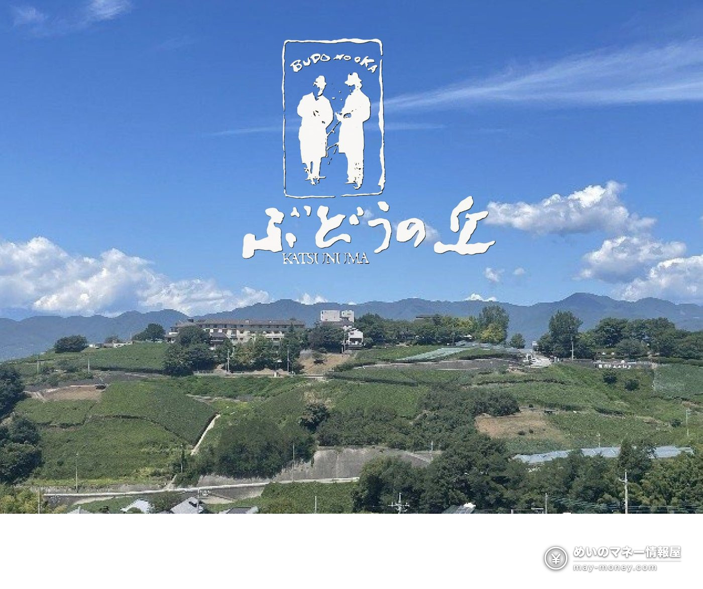 Katsunuma New Wine Festival on Nov 3: Tasting Pass, Times and Tips 1 Vineyards on a hillside under a blue sky with the Budo no Oka Katsunuma sign