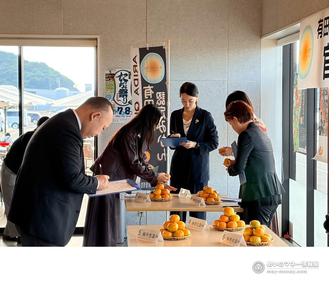 Judges in suits examining and scoring rows of extra-early satsuma mandarins
