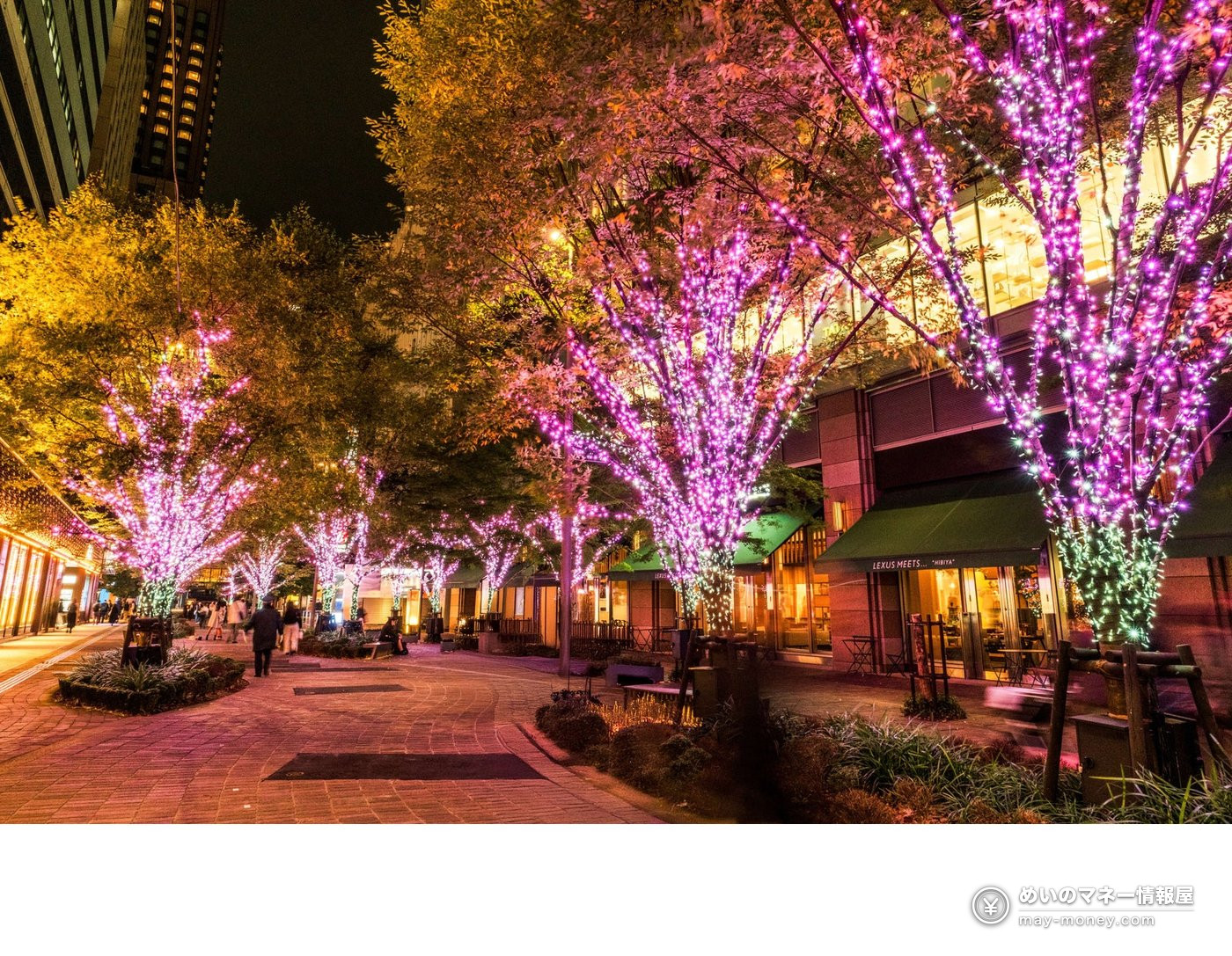 Row of trees lit in pink along a sidewalk lined with shops at night on Hibiya Nakadori