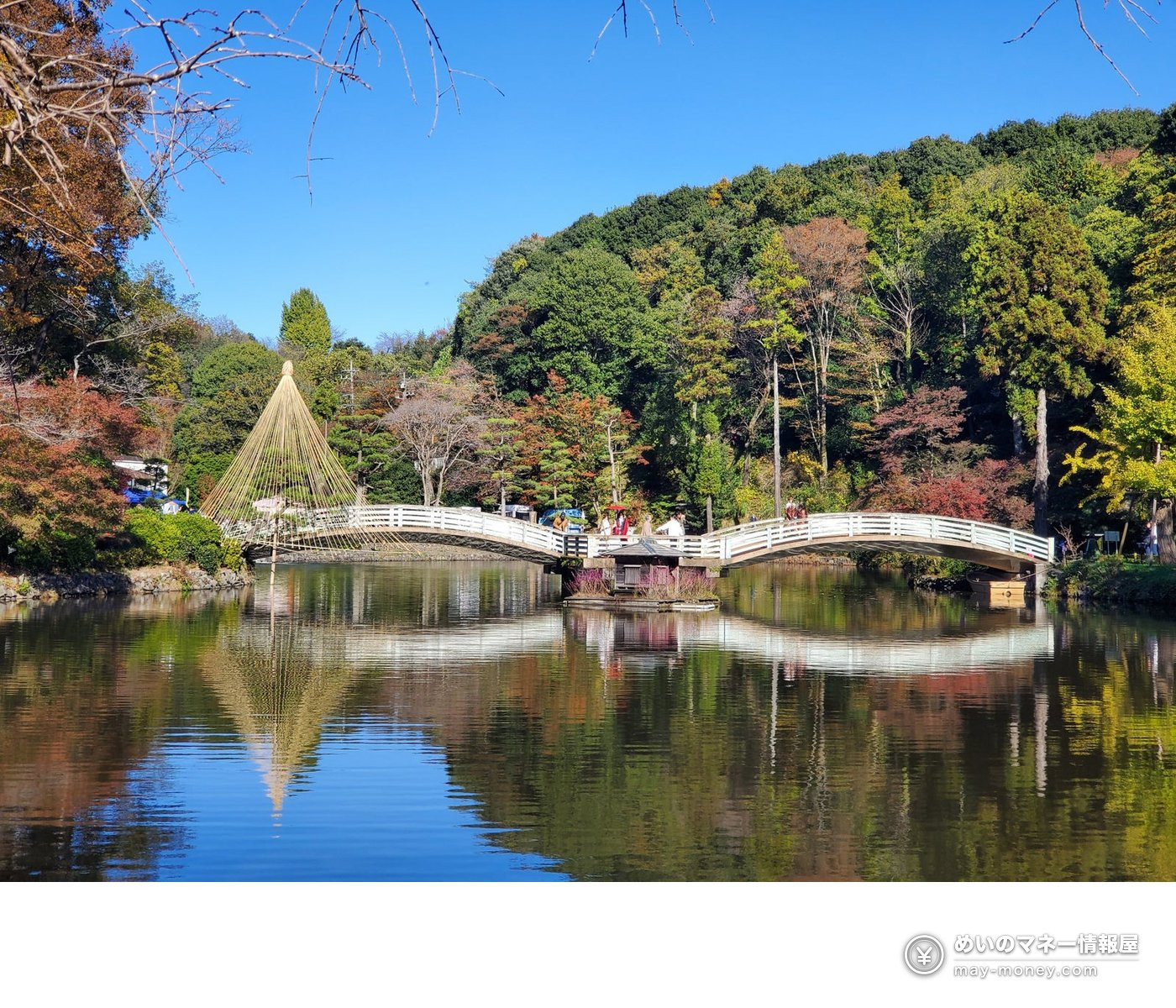 晴れた日の薬師池。白い橋と雪吊りの奥に紅葉した山が水面に映っている