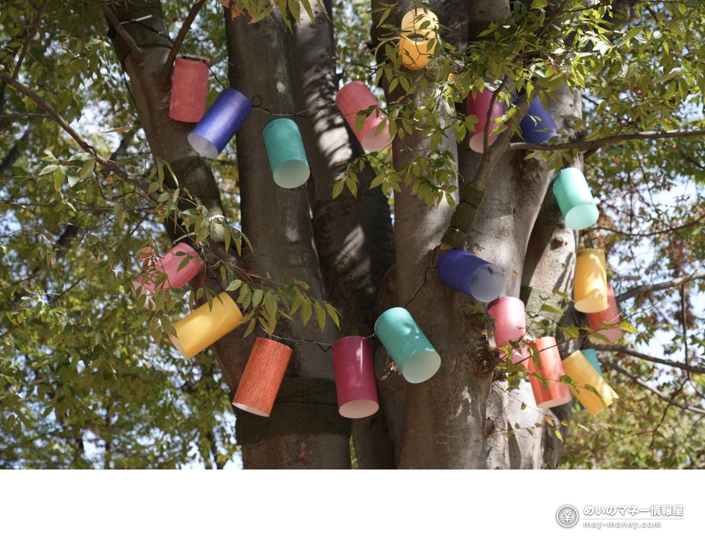 Colorful cylinder-shaped lanterns hanging from a tree trunk in Koganei Park