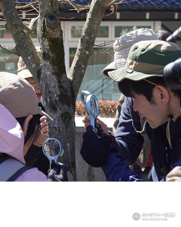 Takaosan Noichi Market at Takaosanguchi Station: Outdoor Gear, Free Talks and Local Beer (Oct 31–Nov 1) 5 People in hats looking at a tree trunk through a magnifying glass