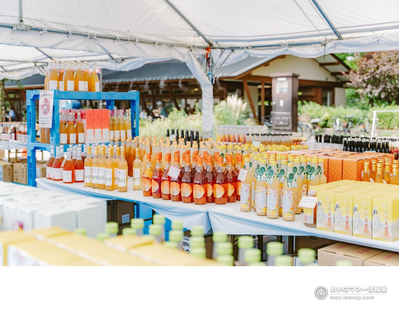 Yokosuka Umeshu Festival: Tickets, Tastings and RPG 3 Bottles and gift boxes of umeshu displayed for sale inside a festival tent