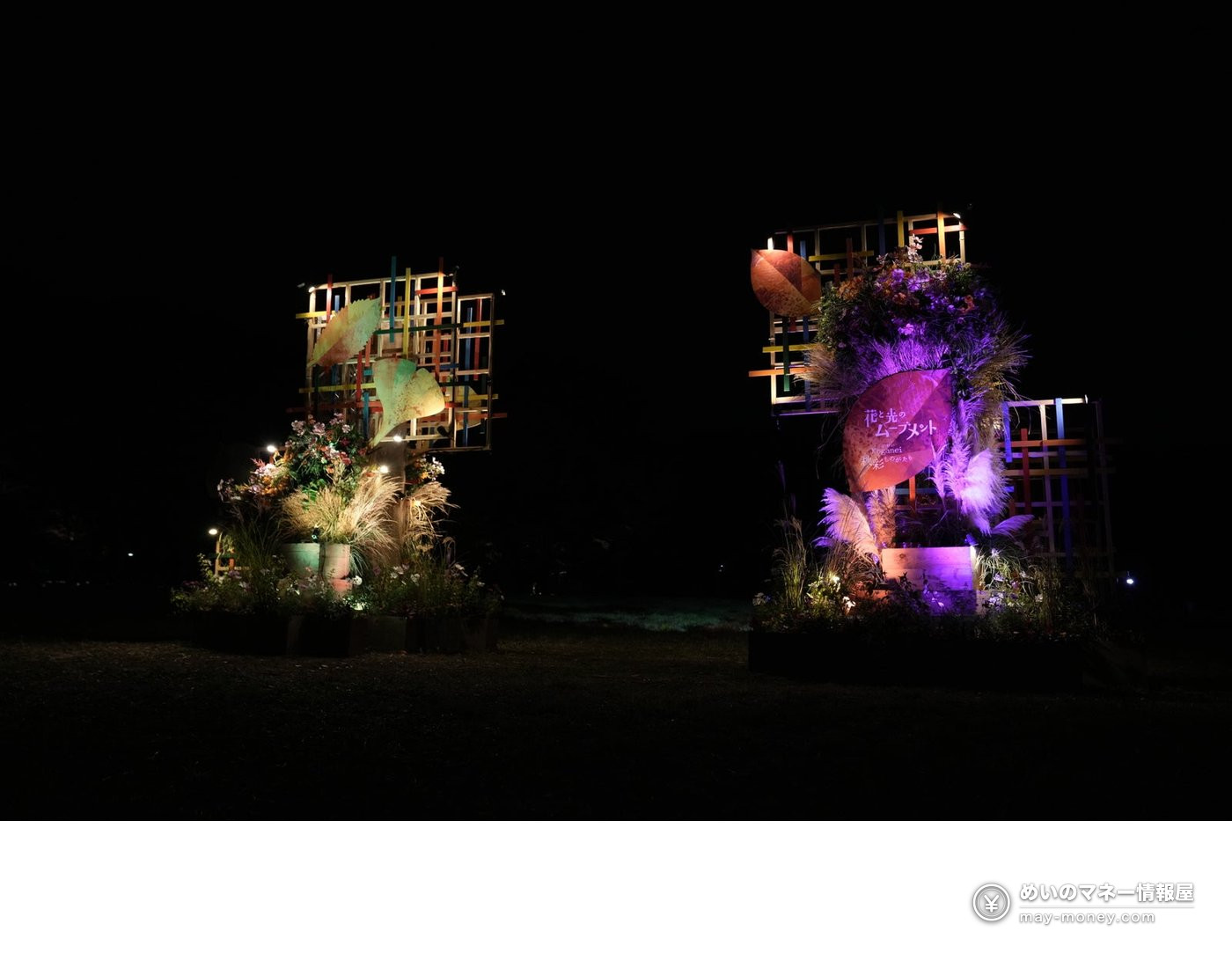 The same two flower displays lit up on the plaza at night