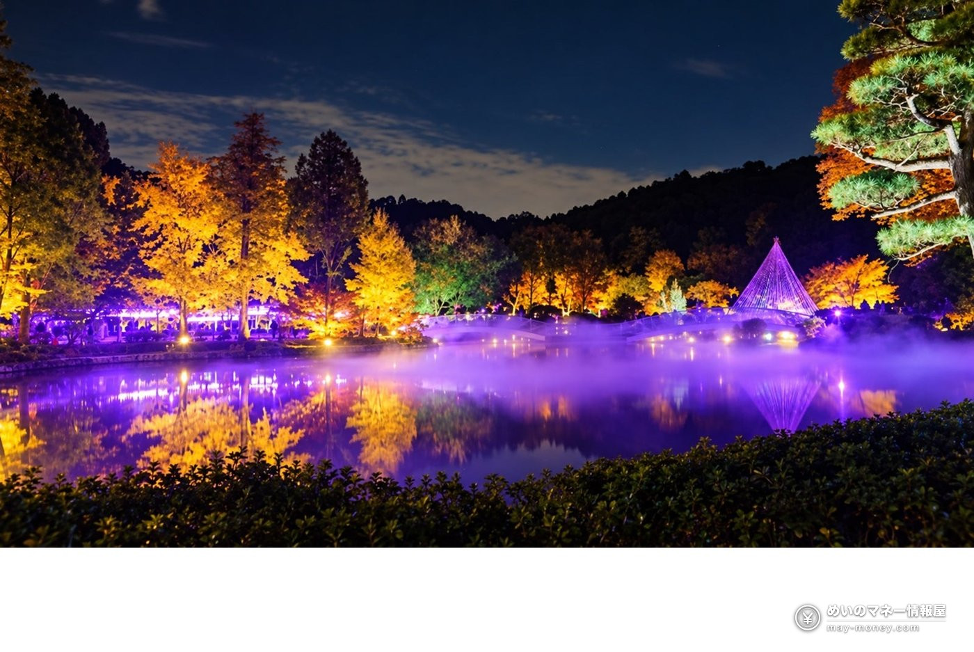 紫色の照明に照らされた夜の薬師池と紅葉。水面に霧が漂い、円錐形のオブジェが光っている