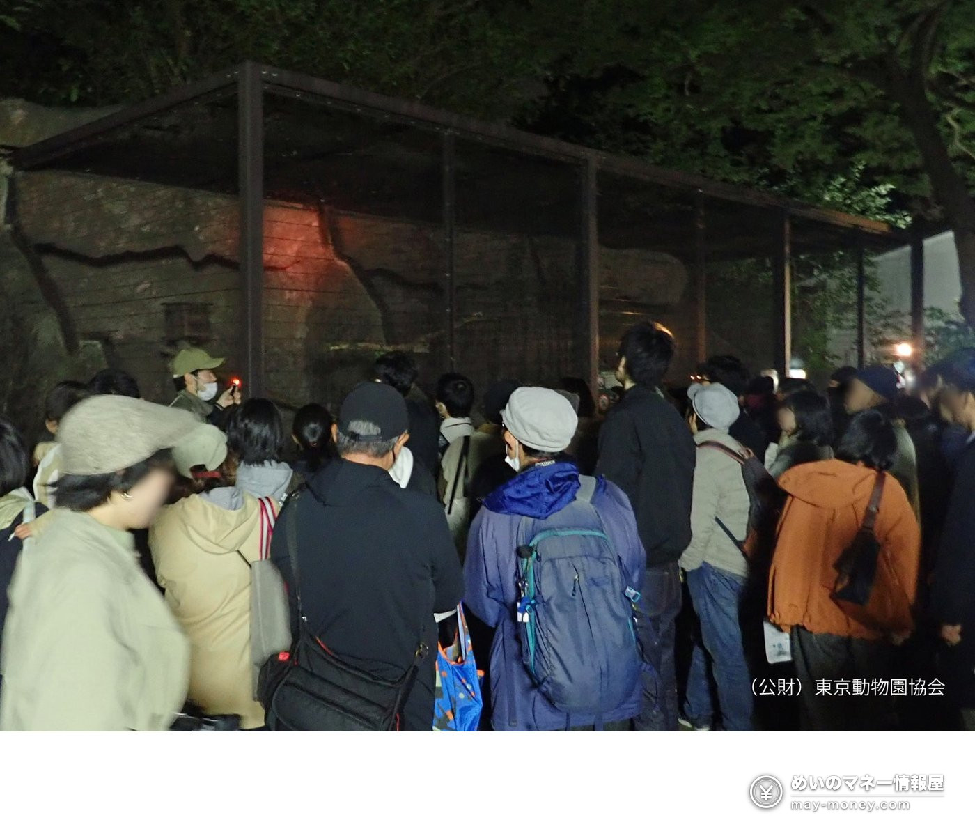 Inokashira Park Zoo Open Until 8 PM on 7–8 November: Evening Programmes, Hours and Food 3 Visitors gathered at night in front of an animal enclosure to listen to a guide