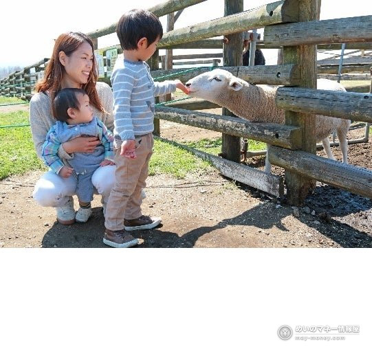 柵越しに羊へ手を伸ばしてふれあう母子