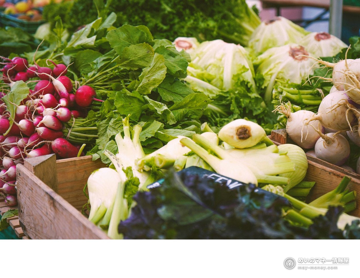 Radishes, fennel and turnips arranged in wooden crates