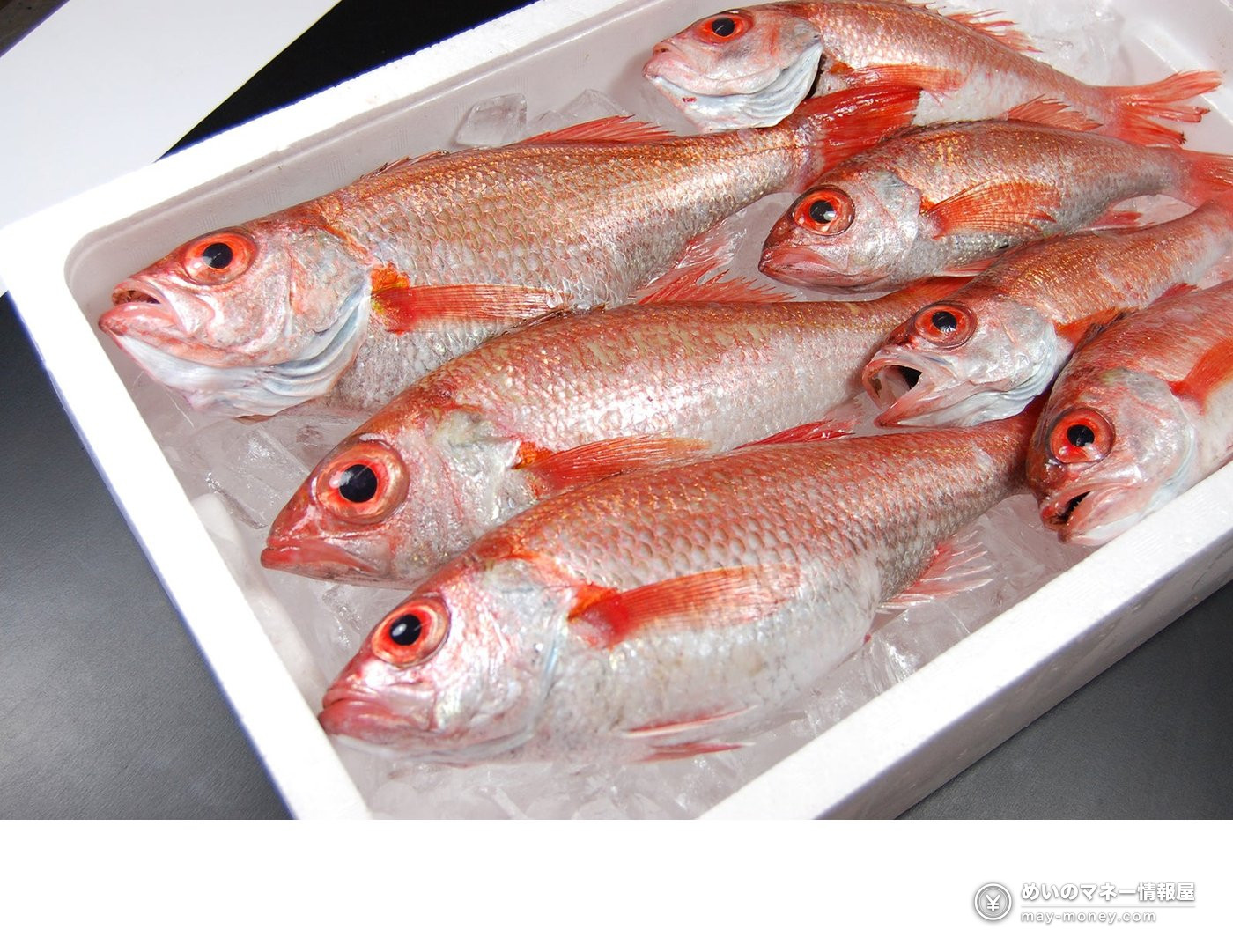 氷を敷いた箱に入った赤い魚数尾