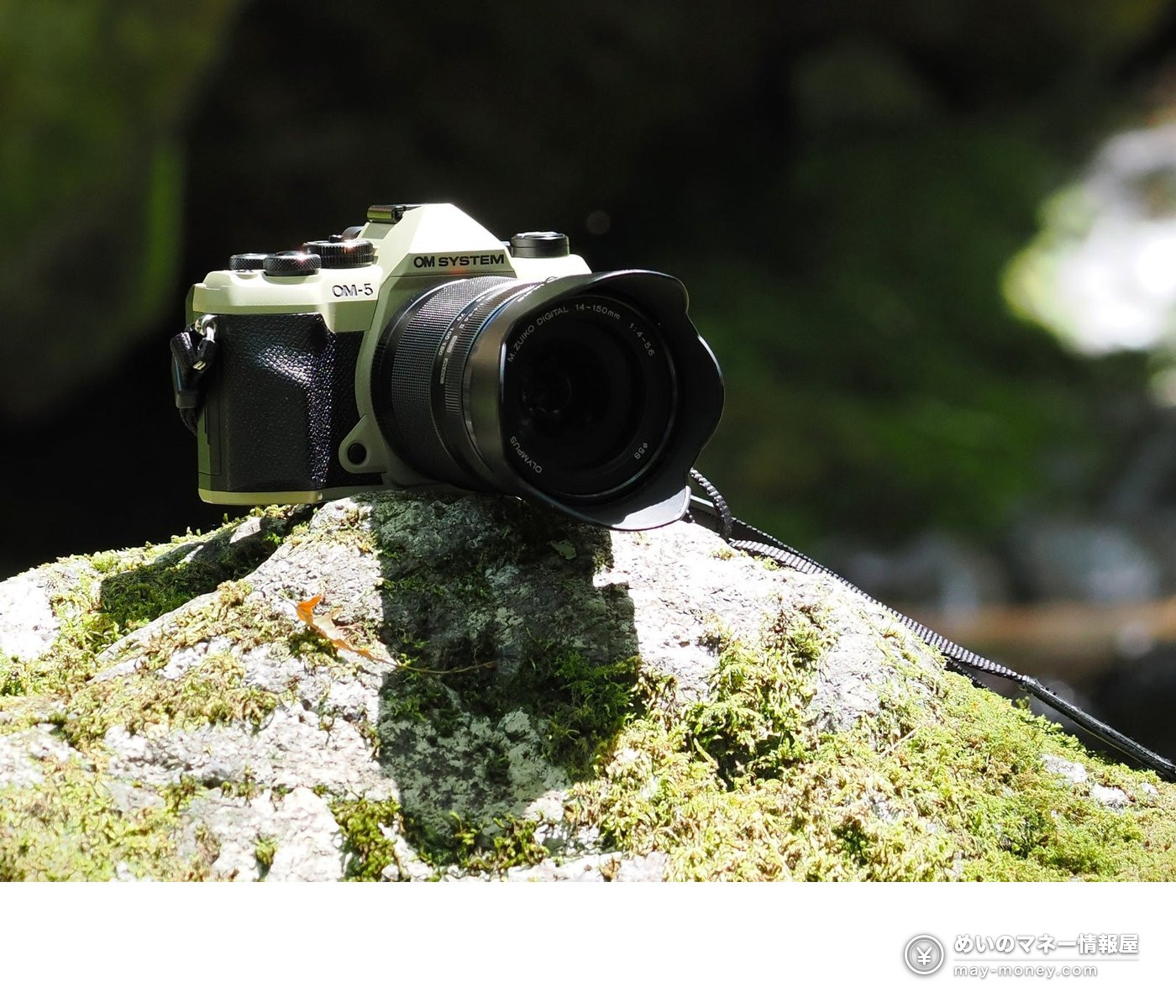 Takaosan Noichi Market at Takaosanguchi Station: Outdoor Gear, Free Talks and Local Beer (Oct 31–Nov 1) 2 An OM SYSTEM OM-5 camera resting on a mossy rock