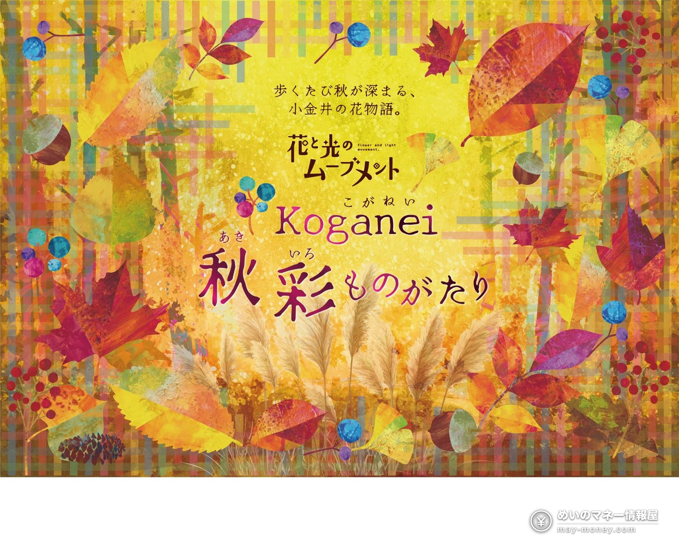 Autumn-colored illustration of leaves and nuts announcing the Koganei Park flower story event