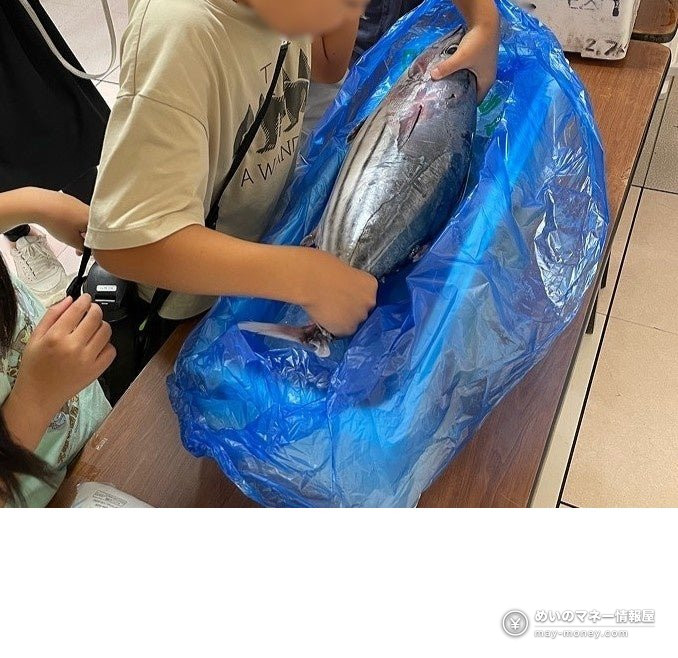 孩子伸手触摸大鱼的样子（示意图）