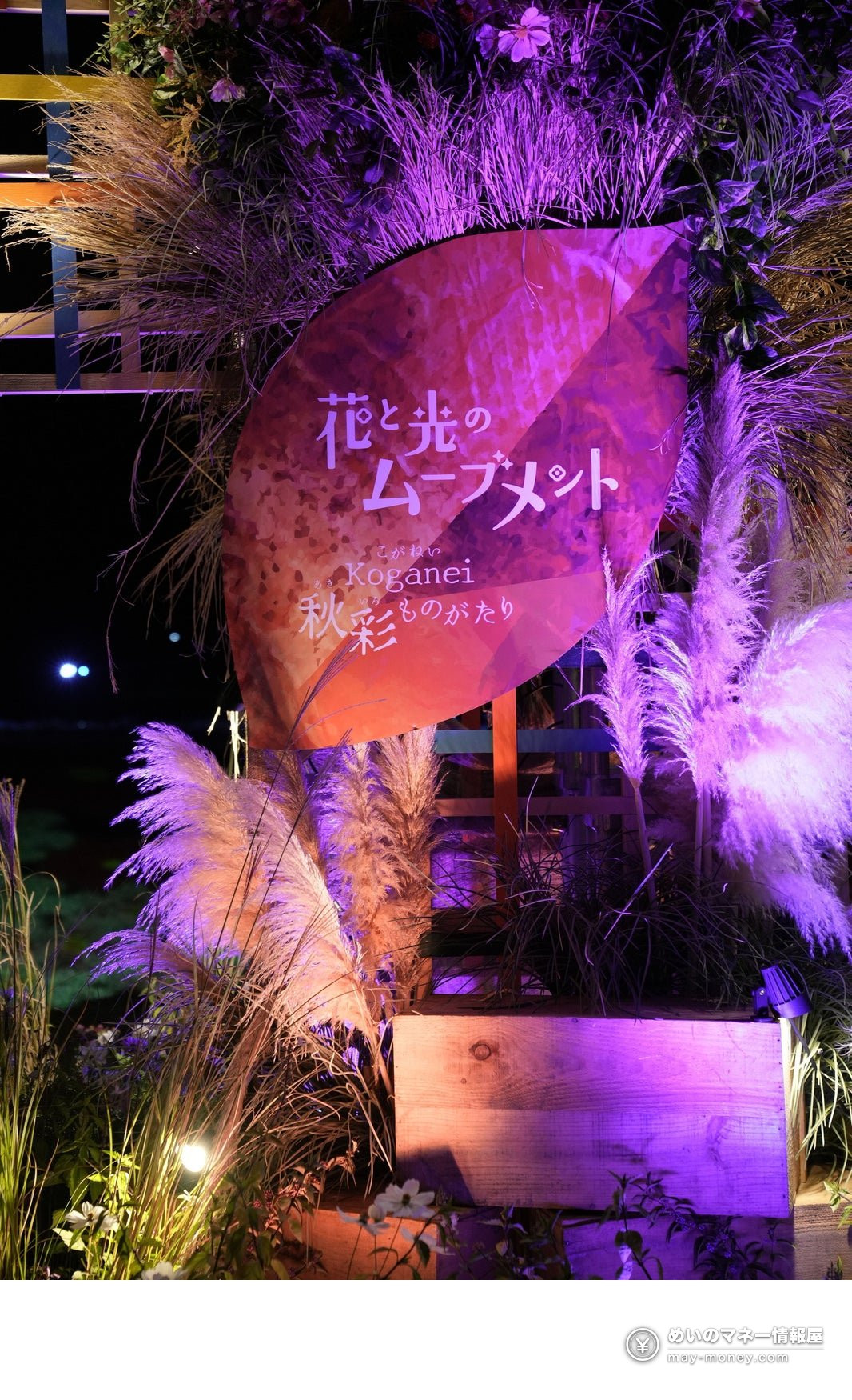 Leaf-shaped event sign and plants lit up in purple at night