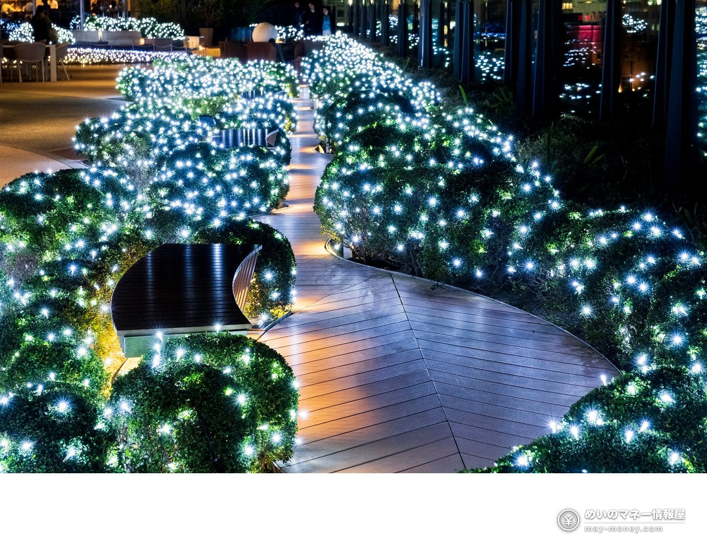Shrubs lit with white lights beside a curved wooden walkway at night on the 6th floor garden