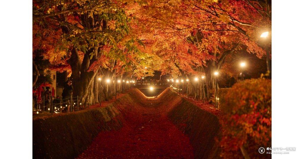 富士河口湖紅葉まつり｜ライトアップの時間・見頃・行き方